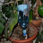 Eco bewatering systeem voor planten, gemaakt met een plastic fles.