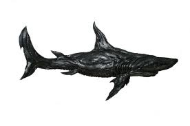 Rubberen haai, een kunstwerk uit Zuid-Korea.
