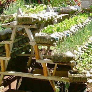 Tuiniertafel met plastic flessen als plantencontainer met bewatering systeem.