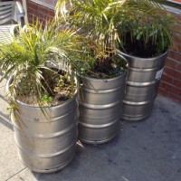 Planten in een biervat als afscherming van een terras.