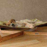 Doe het zelf voor beeld om van plankjes en canvas een hangmat te maken, voor de hond of poes.