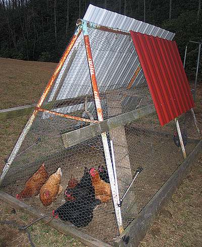 Heel eenvoudige kippenren met het frame van een tuinschommel en kippengaas.