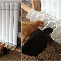 PVC-buizen om als voerssysteem voor kippen te gebruiken.