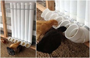  PVC-buizen om als voerssysteem voor kippen te gebruiken.