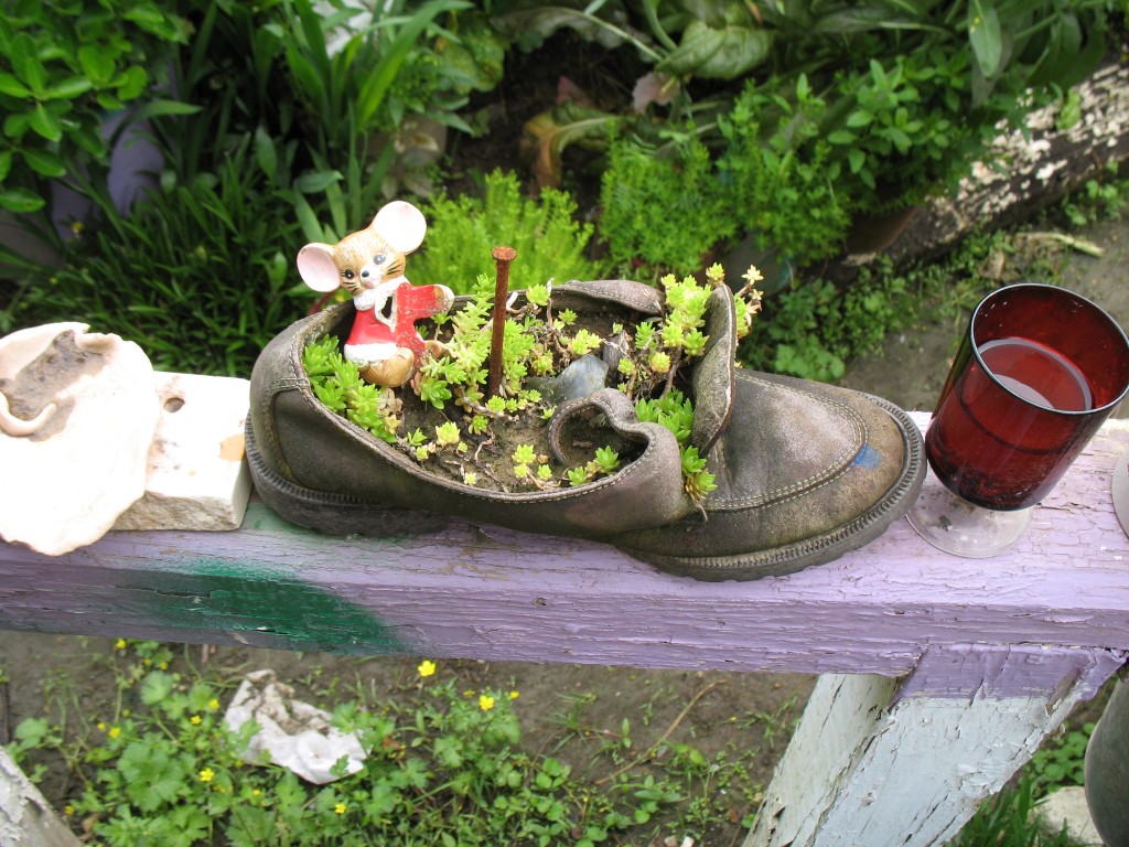Een schoen met plantjes erin.