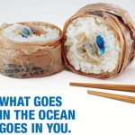 Plastic uit de oceaan komt op ons bord terecht.