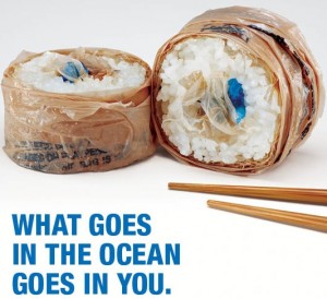 Plastic uit de oceaan komt op ons bord terecht.